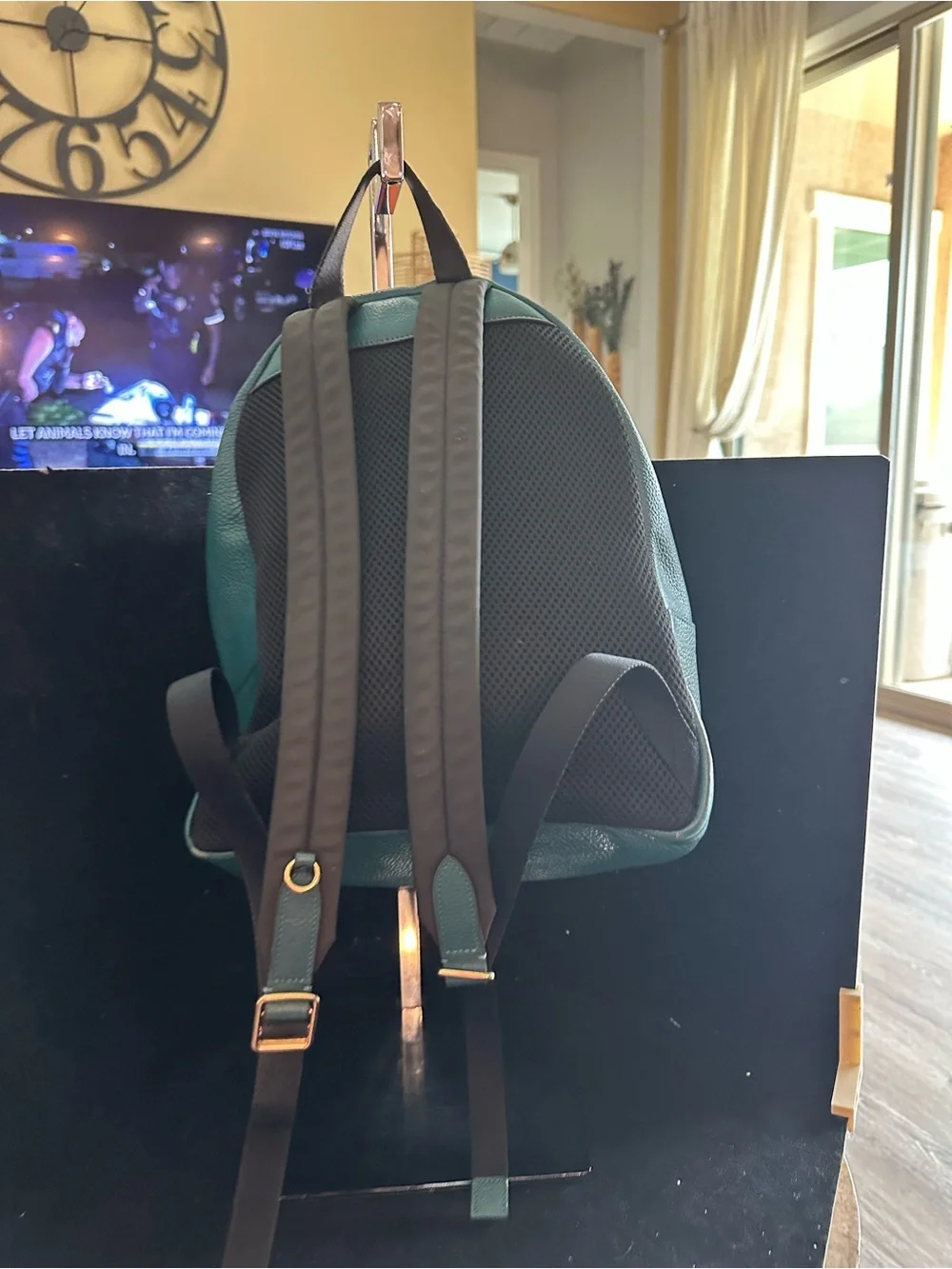 Coach 2019 viridian